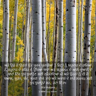 Picture 03 - 2 ਰਾਜਿਆਂ 23:5 PANIRV - ਅਤੇ ਉਹ ਨੇ ਉਹਨਾਂ - Bible Verse Picture