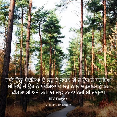Picture 03 - 2 ਰਾਜਿਆਂ 24:4 PANIRV - ਨਾਲੇ ਉਨ੍ਹਾਂ - Bible Verse Picture