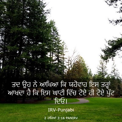 Picture 03 - 2 ਰਾਜਿਆਂ 3:16 PANIRV - ਤਦ ਉਹ ਨੇ ਆਖਿਆ ਕਿ - Bible Verse Picture