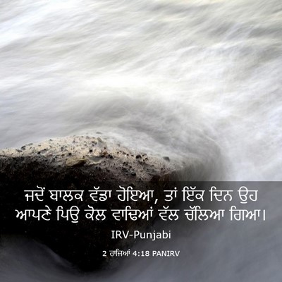 Picture 03 - 2 ਰਾਜਿਆਂ 4:18 PANIRV - ਜਦੋਂ ਬਾਲਕ ਵੱਡਾ - Bible Verse Picture