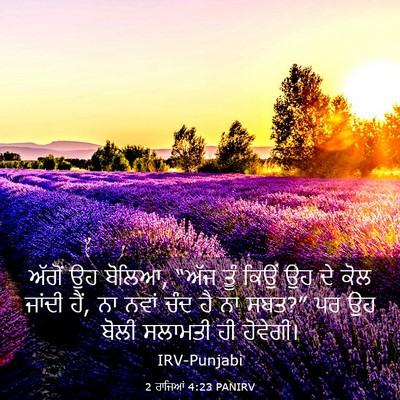 Picture 03 - 2 ਰਾਜਿਆਂ 4:23 PANIRV - ਅੱਗੋਂ ਉਹ ਬੋਲਿਆ, - Bible Verse Picture