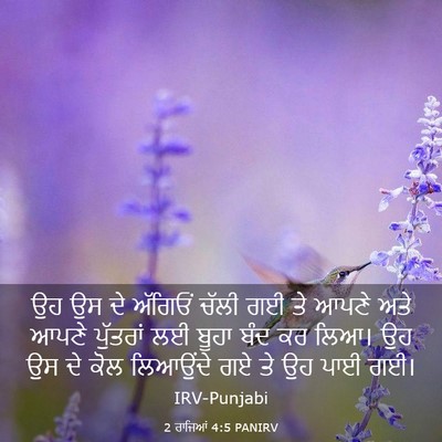 Picture 03 - 2 ਰਾਜਿਆਂ 4:5 PANIRV - ਉਹ ਉਸ ਦੇ ਅੱਗਿਓਂ - Bible Verse Picture