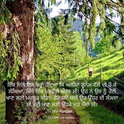 Picture 03 - 2 ਰਾਜਿਆਂ 4:8 PANIRV - ਇੱਕ ਦਿਨ ਇਸ ਤਰ੍ਹਾਂ - Bible Verse Picture