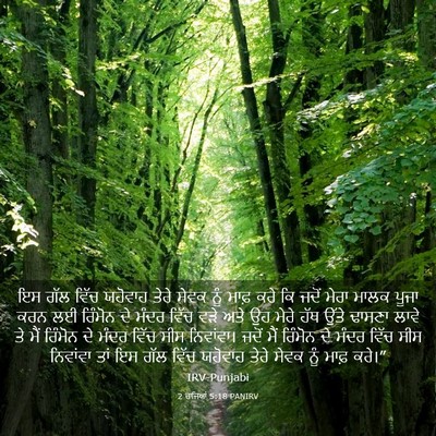 Picture 03 - 2 ਰਾਜਿਆਂ 5:18 PANIRV - ਇਸ ਗੱਲ ਵਿੱਚ ਯਹੋਵਾਹ - Bible Verse Picture