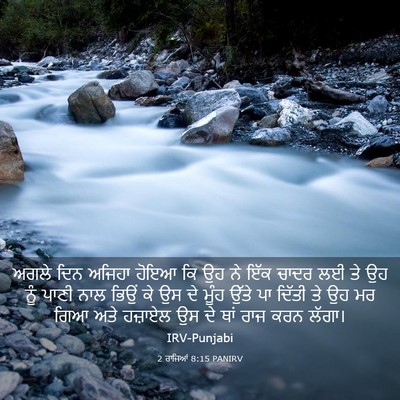 Picture 03 - 2 ਰਾਜਿਆਂ 8:15 PANIRV - ਅਗਲੇ ਦਿਨ ਅਜਿਹਾ - Bible Verse Picture
