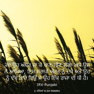 Picture 03 - 2 ਰਾਜਿਆਂ 9:34 PANIRV - ਤਦ ਉਹ ਅੰਦਰ ਜਾ ਕੇ - Bible Verse Picture