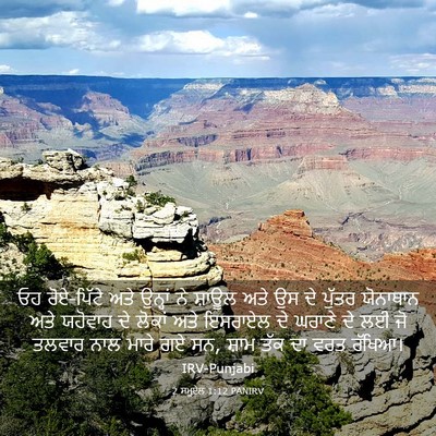 Picture 03 - 2 ਸਮੂਏਲ 1:12 PANIRV - ਓਹ ਰੋਏ-ਪਿੱਟੇ ਅਤੇ - Bible Verse Picture
