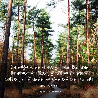 Picture 03 - 2 ਸਮੂਏਲ 1:13 PANIRV - ਫਿਰ ਦਾਊਦ ਨੇ ਉਸ ਜੁਆਨ - Bible Verse Picture