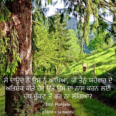Picture 03 - 2 ਸਮੂਏਲ 1:14 PANIRV - ਸੋ ਦਾਊਦ ਨੇ ਉਸ ਨੂੰ - Bible Verse Picture