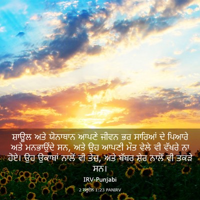 Picture 03 - 2 ਸਮੂਏਲ 1:23 PANIRV - ਸ਼ਾਊਲ ਅਤੇ ਯੋਨਾਥਾਨ - Bible Verse Picture