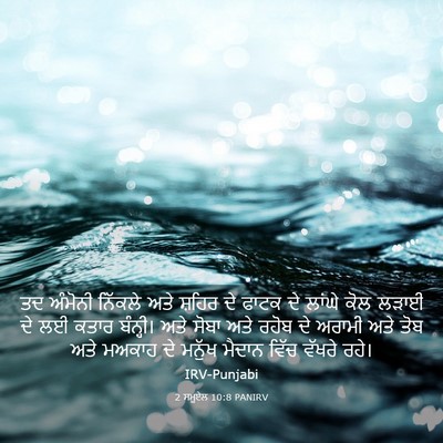 Picture 03 - 2 ਸਮੂਏਲ 10:8 PANIRV - ਤਦ ਅੰਮੋਨੀ ਨਿੱਕਲੇ - Bible Verse Picture
