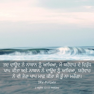 Picture 03 - 2 ਸਮੂਏਲ 12:13 PANIRV - ਤਦ ਦਾਊਦ ਨੇ ਨਾਥਾਨ - Bible Verse Picture
