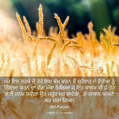 Picture 03 - 2 ਸਮੂਏਲ 12:14 PANIRV - ਪਰ ਇਸ ਕਰਕੇ ਜੋ ਤੇਰੇ - Bible Verse Picture