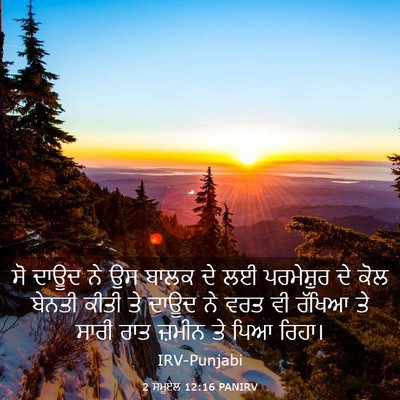 Picture 03 - 2 ਸਮੂਏਲ 12:16 PANIRV - ਸੋ ਦਾਊਦ ਨੇ ਉਸ ਬਾਲਕ - Bible Verse Picture