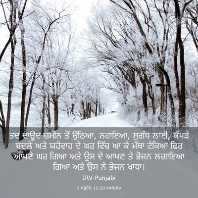 Picture 03 - 2 ਸਮੂਏਲ 12:20 PANIRV - ਤਦ ਦਾਊਦ ਜ਼ਮੀਨ ਤੋਂ - Bible Verse Picture