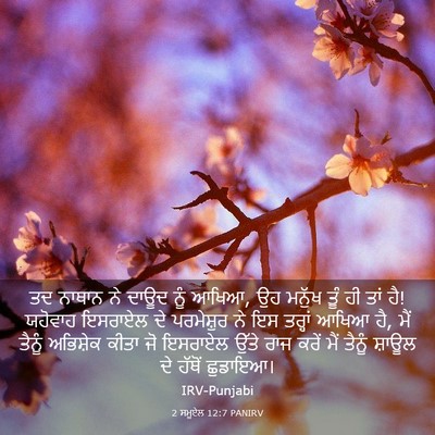 Picture 03 - 2 ਸਮੂਏਲ 12:7 PANIRV - ਤਦ ਨਾਥਾਨ ਨੇ ਦਾਊਦ - Bible Verse Picture
