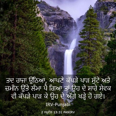 Picture 03 - 2 ਸਮੂਏਲ 13:31 PANIRV - ਤਦ ਰਾਜਾ ਉੱਠਿਆ, ਆਪਣੇ - Bible Verse Picture