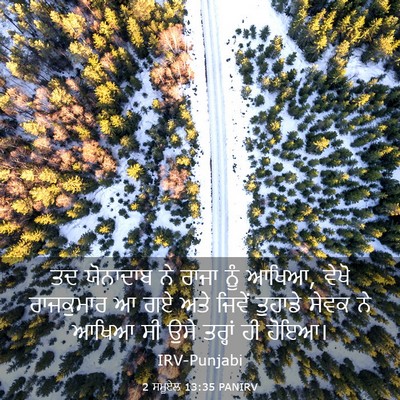 Picture 03 - 2 ਸਮੂਏਲ 13:35 PANIRV - ਤਦ ਯੋਨਾਦਾਬ ਨੇ ਰਾਜਾ - Bible Verse Picture