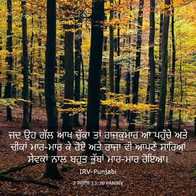 Picture 03 - 2 ਸਮੂਏਲ 13:36 PANIRV - ਜਦ ਉਹ ਗੱਲ ਆਖ ਚੁੱਕਾ - Bible Verse Picture