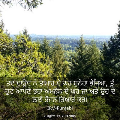 Picture 03 - 2 ਸਮੂਏਲ 13:7 PANIRV - ਤਦ ਦਾਊਦ ਨੇ ਤਾਮਾਰ ਦੇ - Bible Verse Picture