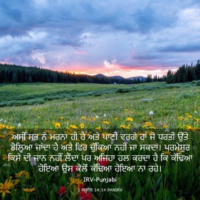 Picture 03 - 2 ਸਮੂਏਲ 14:14 PANIRV - ਅਸੀਂ ਸਭ ਨੇ ਮਰਨਾ ਹੀ - Bible Verse Picture