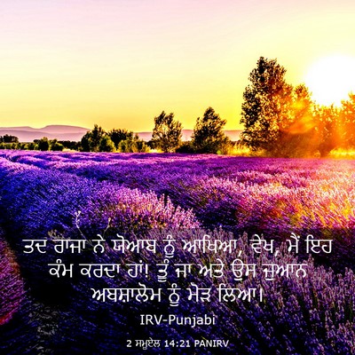Picture 03 - 2 ਸਮੂਏਲ 14:21 PANIRV - ਤਦ ਰਾਜਾ ਨੇ ਯੋਆਬ ਨੂੰ - Bible Verse Picture