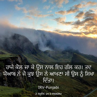 Picture 03 - 2 ਸਮੂਏਲ 14:3 PANIRV - ਰਾਜੇ ਕੋਲ ਜਾ ਕੇ ਉਸ - Bible Verse Picture