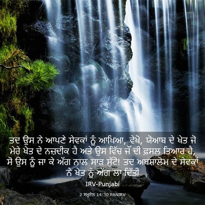 Picture 03 - 2 ਸਮੂਏਲ 14:30 PANIRV - ਤਦ ਉਸ ਨੇ ਆਪਣੇ - Bible Verse Picture