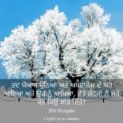 Picture 03 - 2 ਸਮੂਏਲ 14:31 PANIRV - ਤਦ ਯੋਆਬ ਉੱਠਿਆ ਅਤੇ - Bible Verse Picture