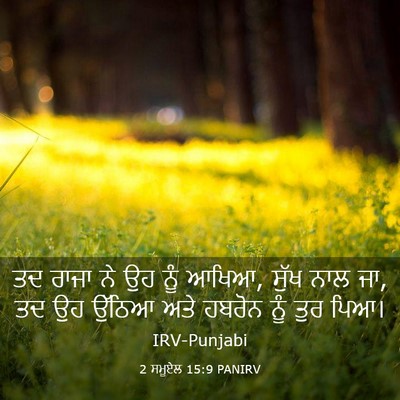 Picture 03 - 2 ਸਮੂਏਲ 15:9 PANIRV - ਤਦ ਰਾਜਾ ਨੇ ਉਹ ਨੂੰ - Bible Verse Picture