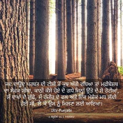 Picture 03 - 2 ਸਮੂਏਲ 16:1 PANIRV - ਜਦ ਦਾਊਦ ਪਰਬਤ ਦੀ - Bible Verse Picture