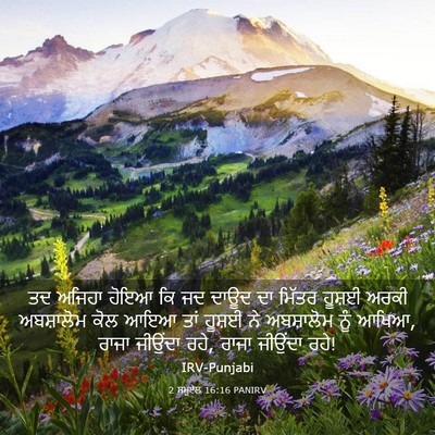 Picture 03 - 2 ਸਮੂਏਲ 16:16 PANIRV - ਤਦ ਅਜਿਹਾ ਹੋਇਆ ਕਿ ਜਦ - Bible Verse Picture