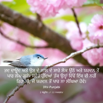Picture 03 - 2 ਸਮੂਏਲ 17:22 PANIRV - ਤਦ ਦਾਊਦ ਅਤੇ ਉਸ ਦੇ - Bible Verse Picture