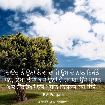 Picture 03 - 2 ਸਮੂਏਲ 18:1 PANIRV - ਦਾਊਦ ਨੇ ਉਨ੍ਹਾਂ - Bible Verse Picture