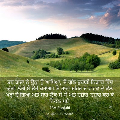 Picture 03 - 2 ਸਮੂਏਲ 18:4 PANIRV - ਤਦ ਰਾਜਾ ਨੇ ਉਨ੍ਹਾਂ - Bible Verse Picture