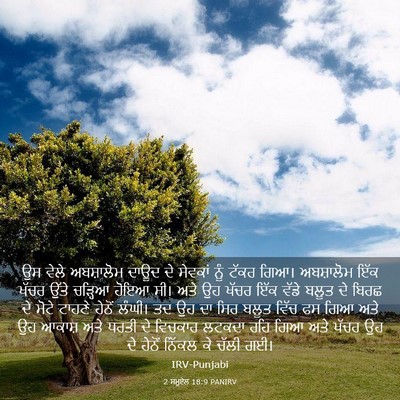 Picture 03 - 2 ਸਮੂਏਲ 18:9 PANIRV - ਉਸ ਵੇਲੇ ਅਬਸ਼ਾਲੋਮ - Bible Verse Picture