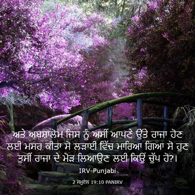 Picture 03 - 2 ਸਮੂਏਲ 19:10 PANIRV - ਅਤੇ ਅਬਸ਼ਾਲੋਮ ਜਿਸ - Bible Verse Picture