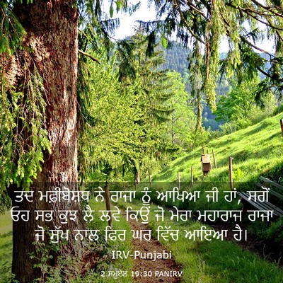 Picture 03 - 2 ਸਮੂਏਲ 19:30 PANIRV - ਤਦ ਮਫ਼ੀਬੋਸ਼ਥ ਨੇ - Bible Verse Picture