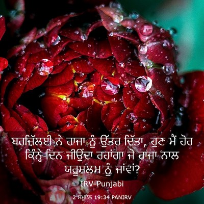 Picture 03 - 2 ਸਮੂਏਲ 19:34 PANIRV - ਬਰਜ਼ਿੱਲਈ ਨੇ ਰਾਜਾ - Bible Verse Picture