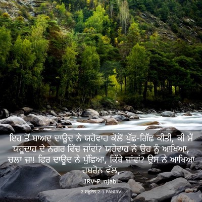 Picture 03 - 2 ਸਮੂਏਲ 2:1 PANIRV - ਇਹ ਤੋਂ ਬਾਅਦ ਦਾਊਦ ਨੇ - Bible Verse Picture