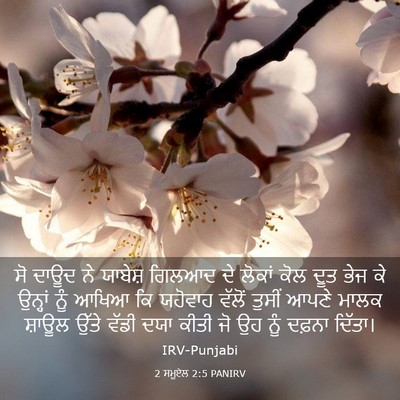 Picture 03 - 2 ਸਮੂਏਲ 2:5 PANIRV - ਸੋ ਦਾਊਦ ਨੇ ਯਾਬੇਸ਼ - Bible Verse Picture