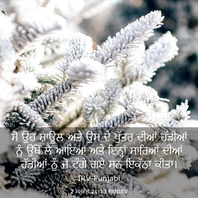 Picture 03 - 2 ਸਮੂਏਲ 21:13 PANIRV - ਸੋ ਉਹ ਸ਼ਾਊਲ ਅਤੇ ਉਸ - Bible Verse Picture