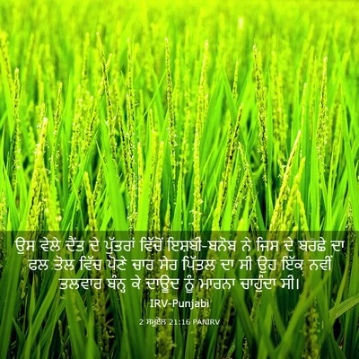 Picture 03 - 2 ਸਮੂਏਲ 21:16 PANIRV - ਉਸ ਵੇਲੇ ਦੈਂਤ ਦੇ - Bible Verse Picture