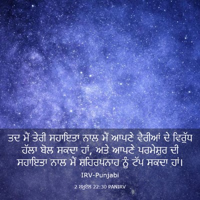 Picture 03 - 2 ਸਮੂਏਲ 22:30 PANIRV - ਤਦ ਮੈਂ ਤੇਰੀ ਸਹਾਇਤਾ - Bible Verse Picture