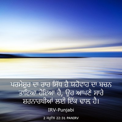 Picture 03 - 2 ਸਮੂਏਲ 22:31 PANIRV - ਪਰਮੇਸ਼ੁਰ ਦਾ ਰਾਹ - Bible Verse Picture