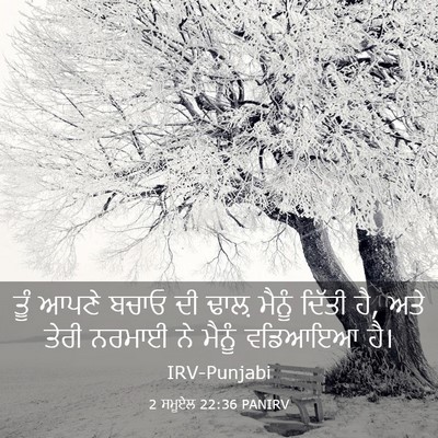 Picture 03 - 2 ਸਮੂਏਲ 22:36 PANIRV - ਤੂੰ ਆਪਣੇ ਬਚਾਓ ਦੀ - Bible Verse Picture