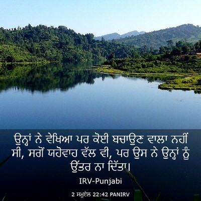 Picture 03 - 2 ਸਮੂਏਲ 22:42 PANIRV - ਉਨ੍ਹਾਂ ਨੇ ਵੇਖਿਆ ਪਰ - Bible Verse Picture