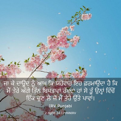 Picture 03 - 2 ਸਮੂਏਲ 24:12 PANIRV - ਜਾ ਕੇ ਦਾਊਦ ਨੂੰ ਆਖ - Bible Verse Picture