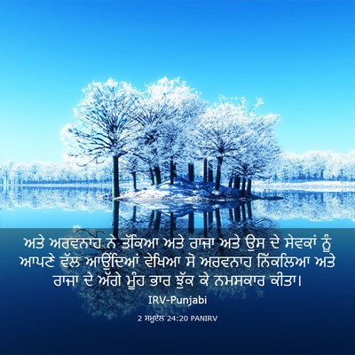 Picture 03 - 2 ਸਮੂਏਲ 24:20 PANIRV - ਅਤੇ ਅਰਵਨਾਹ ਨੇ - Bible Verse Picture
