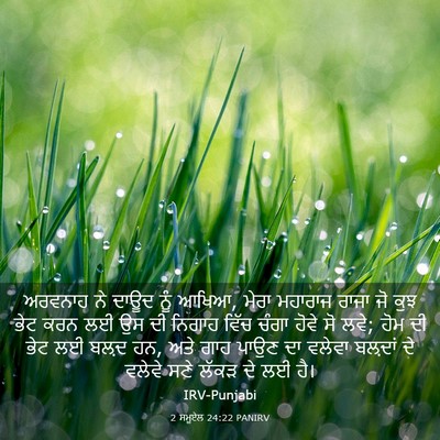 Picture 03 - 2 ਸਮੂਏਲ 24:22 PANIRV - ਅਰਵਨਾਹ ਨੇ ਦਾਊਦ ਨੂੰ - Bible Verse Picture
